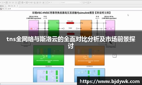 tns全网络与斯洛云的全面对比分析及市场前景探讨